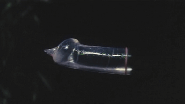 透明人間犯せ！スクリーンショット3