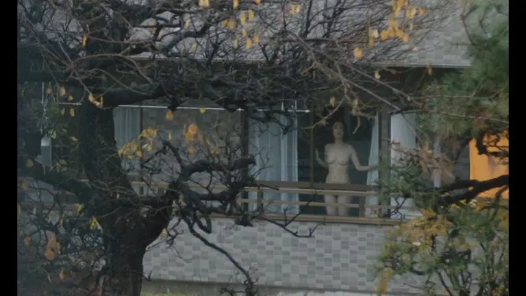 よこがお1